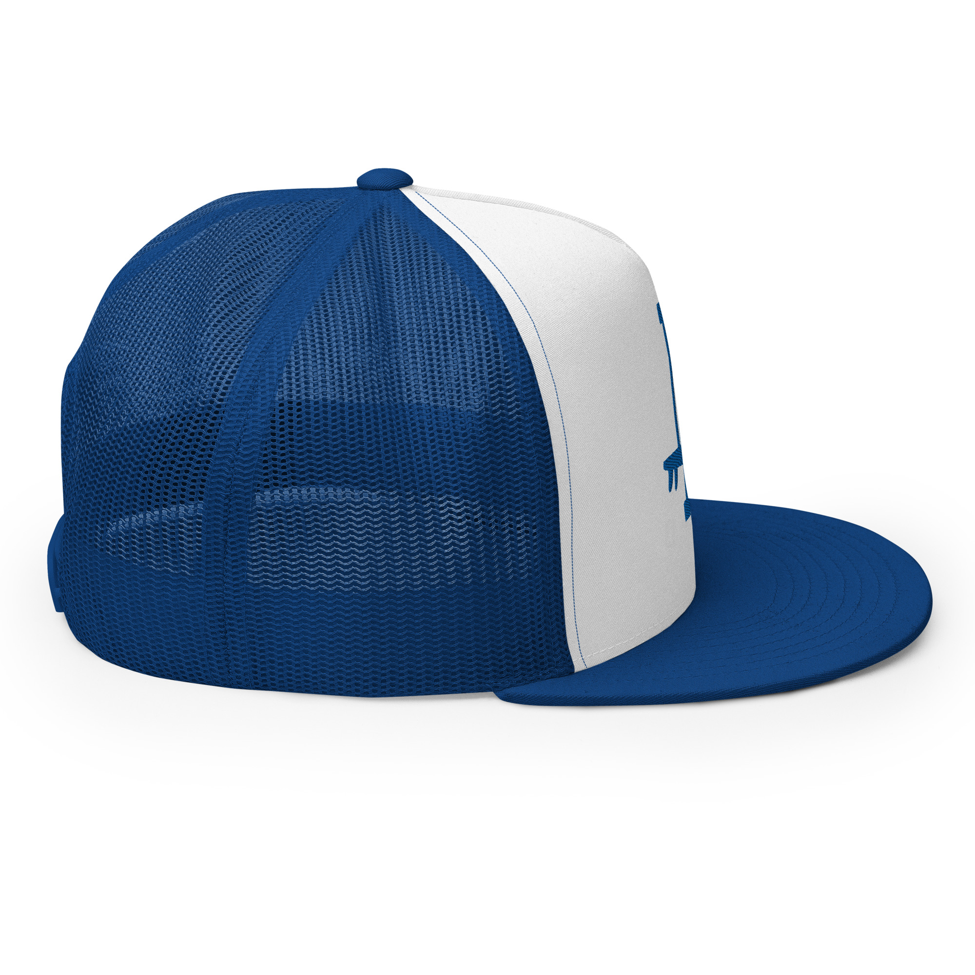 5-panel-trucker-cap-royal-white-royal-right-65f3505d13c9b.jpg – rallypants