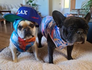 fans_best_friend – rallypants