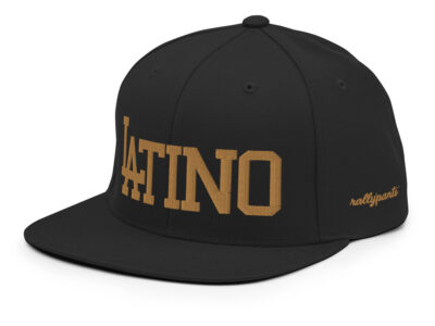 classic-snapback-black-left-front-66abdc8fdba6e.jpg – rallypants