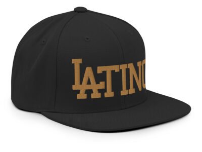 classic-snapback-black-right-front-66abdc8fdc031.jpg – rallypants