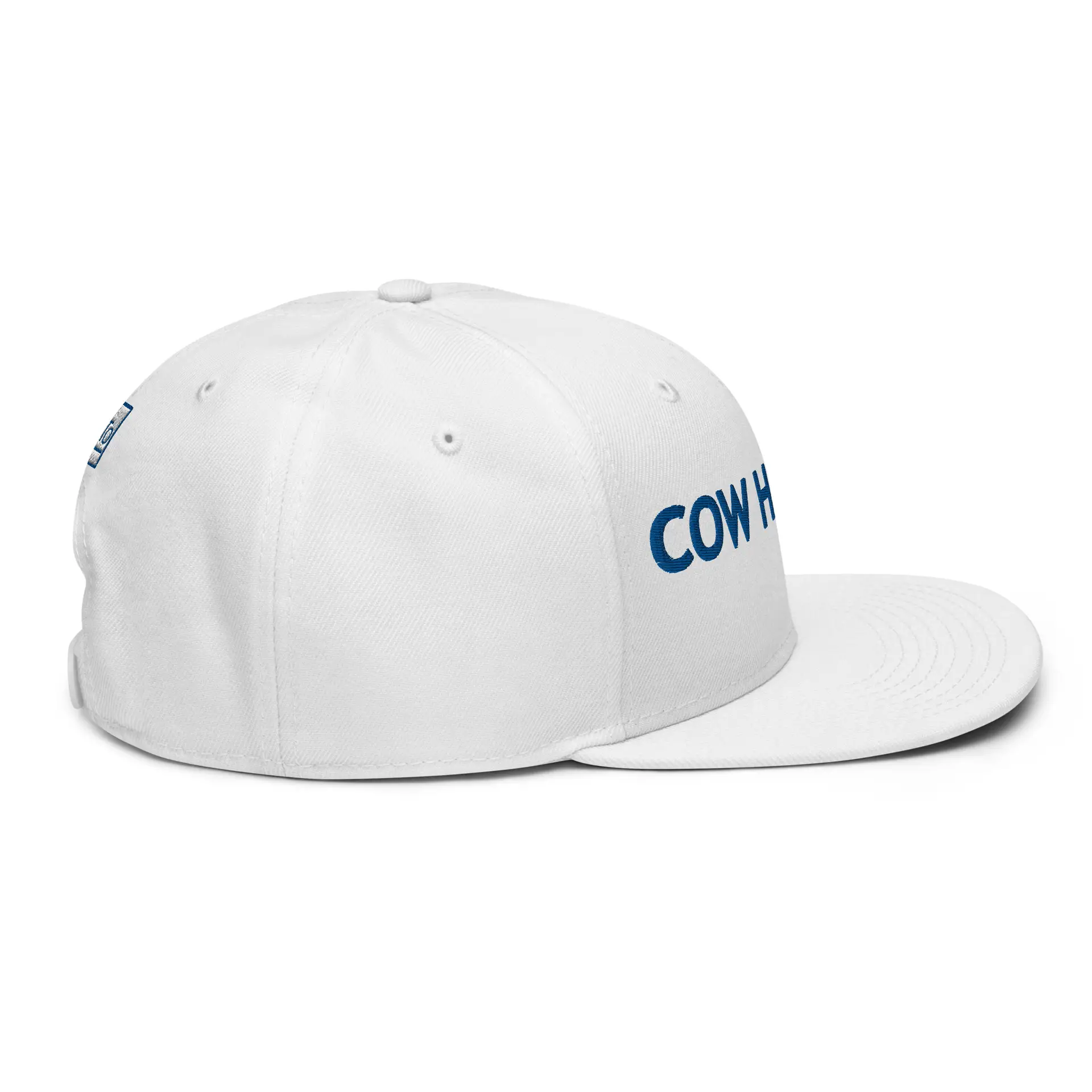 snapback-white-right-side-66ce43b43f61e.jpg – rallypants