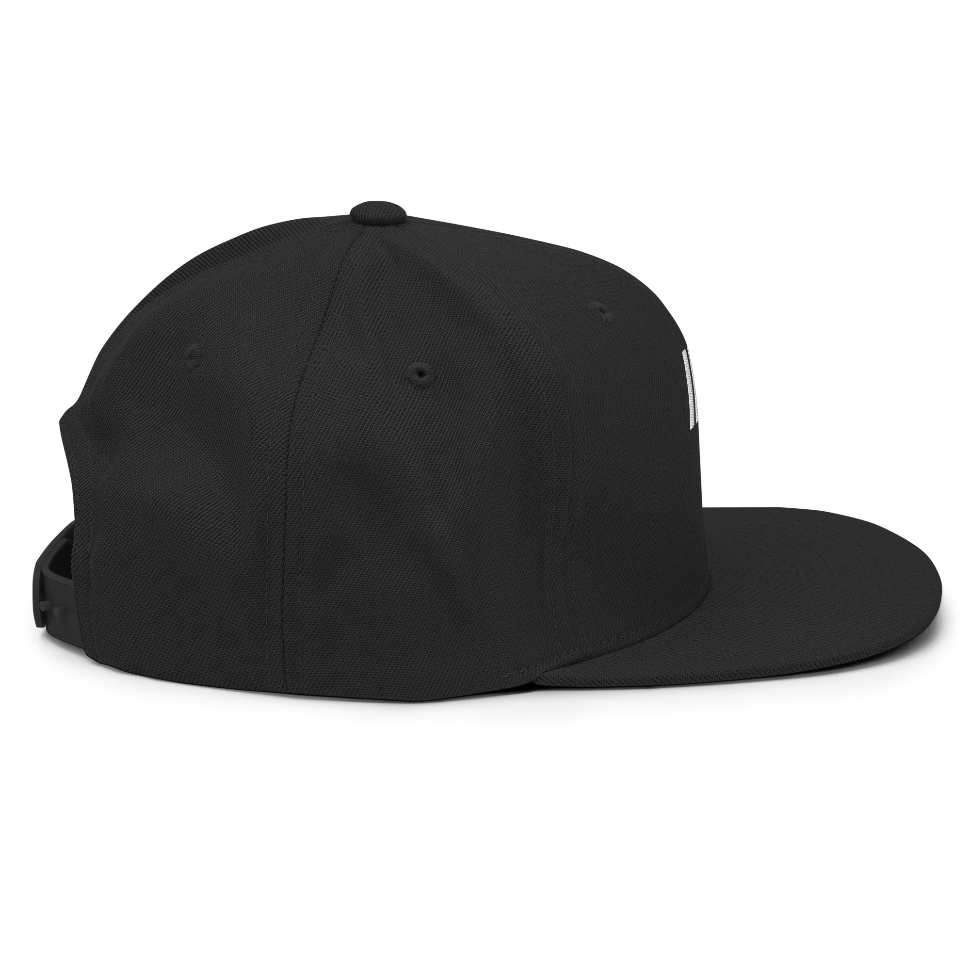 classic-snapback-black-right-side-67fac830e7714.jpg – rallypants