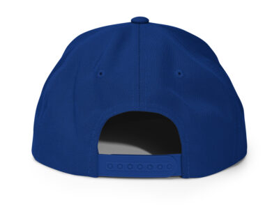 classic-snapback-royal-blue-back-67fac830e8e07.jpg – rallypants