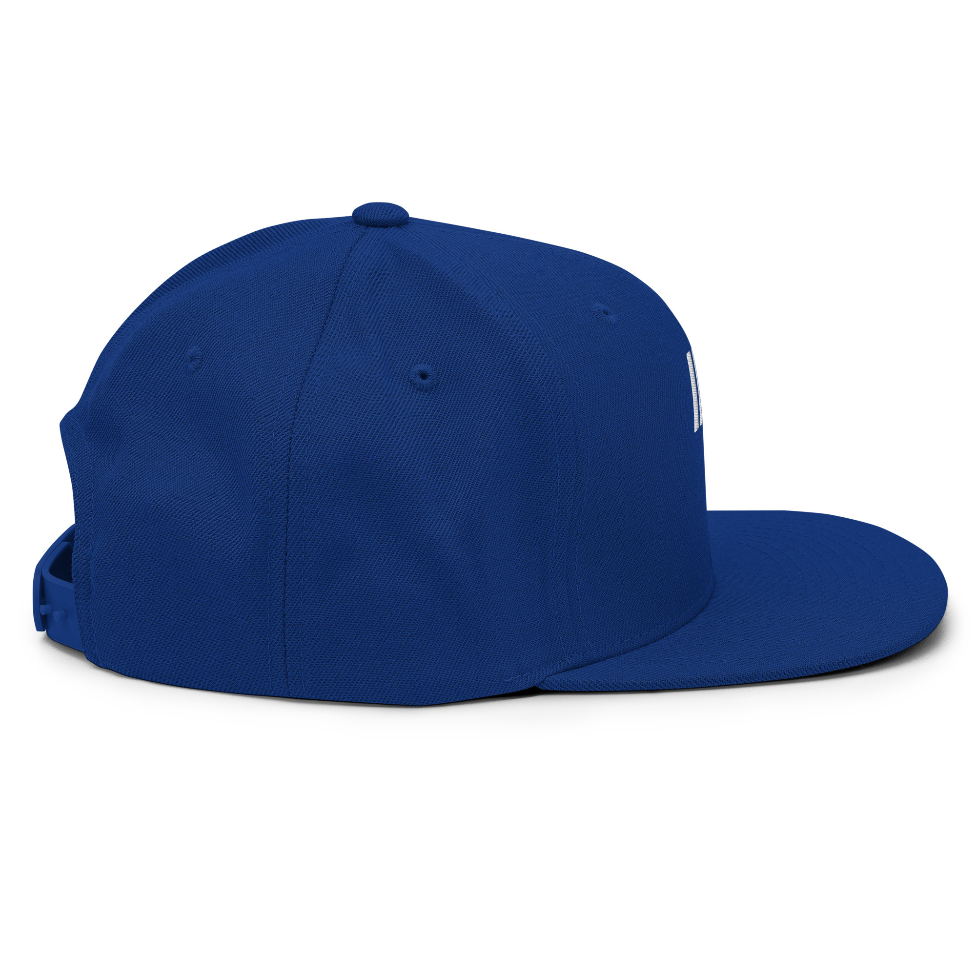 classic-snapback-royal-blue-right-side-67fac830e98c1.jpg – rallypants